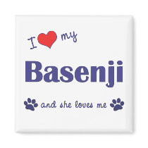 I Love My Basenji (Female Dog) Refrigerator Magnets