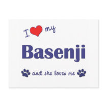 I Love My Basenji (Female Dog) Postcard