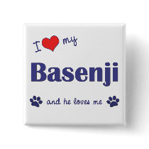 I Love My Basenji (Male Dog) Buttons