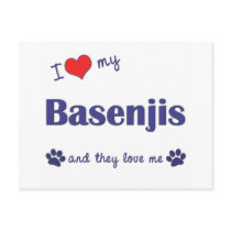 I Love My Basenjis (Multiple Dogs) Post Cards