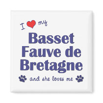I Love My Basset Fauve de Bretagne (Female Dog) magnets