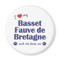 I Love My Basset Fauve de Bretagne (Female Dog) magnets