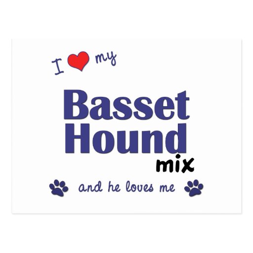 I Love My Basset Hound Mix (Male Dog) Post Cards