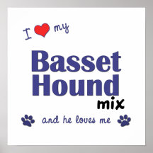I Love My Basset Hound Mix (Male Dog) Poster