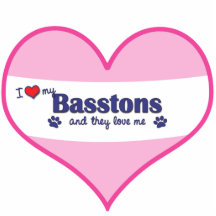 Basston Dog
