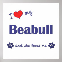 I Love My Beabull (Female Dog) Poster Print
