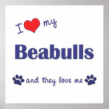 I Love My Beabulls (Multiple Dogs) Poster Print
