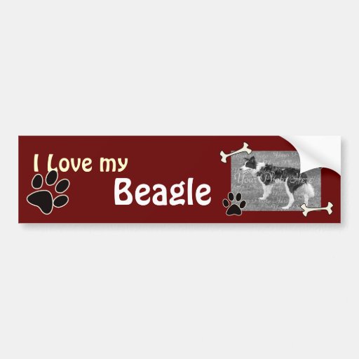 I love my Beagle Bumper Sticker