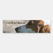 I LOVE MY BEAGLE BUMPER STICKERS