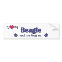 I Love My Beagle (Female Dog) Bumper Stickers