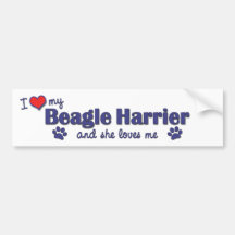 I Love My Beagle Harrier (Female Dog) Bumper Sticker