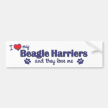 I Love My Beagle Harriers (Multiple Dogs) Bumper Sticker