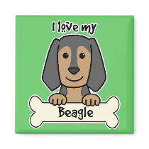I Love My Beagle magnets