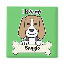 I Love My Beagle magnets