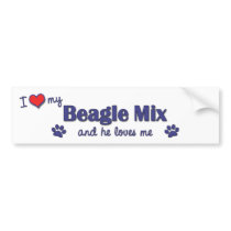 I Love My Beagle Mix (Male Dog) Bumper Stickers
