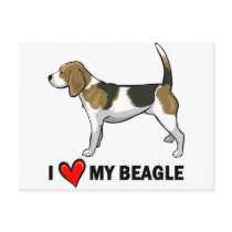 I Love My Beagle Post Card