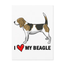 I Love My Beagle Postcards