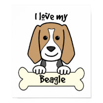 I Love My Beagle posters