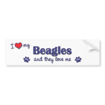 I Love My Beagles (Multiple Dogs) bumper stickers