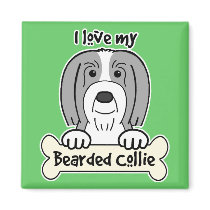I Love My Bearded Collie Magnet