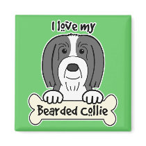 I Love My Bearded Collie Refrigerator Magnets