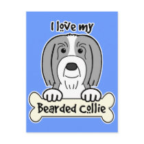 I Love My Bearded Collie Postcards