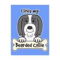 I Love My Bearded Collie Post Cards