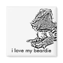 i love my beardie magnet