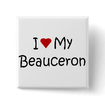 I Love My Beauceron Dog Lover Gifts and Apparel Pinback Buttons