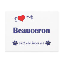 I Love My Beauceron (Female Dog) Postcard