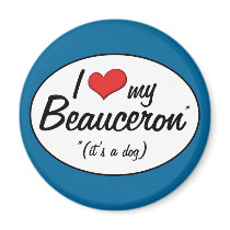 I Love My Beauceron (It's a Dog) Magnets