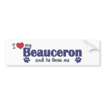 I Love My Beauceron (Male Dog) Bumper Stickers