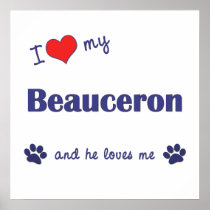 I Love My Beauceron (Male Dog) Poster