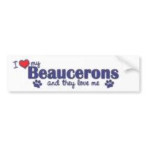 I Love My Beaucerons (Multiple Dogs) Bumper Stickers