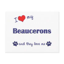 I Love My Beaucerons (Multiple Dogs) Postcards