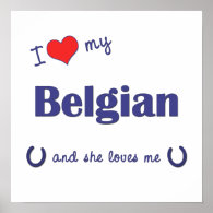 I Love My Belgian (Female Horse) Poster