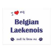 I Love My Belgian Laekenois (Male Dog) Postcard