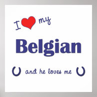 I Love My Belgian (Male Horse) Print