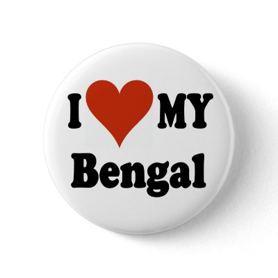 I Love My Bengal Cat Merchandise Button