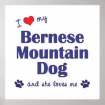 I Love My Bernese Mountain Dog (Female Dog) Poster