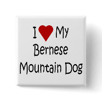 I Love My Bernese Mountain Dog Lover Gifts Buttons