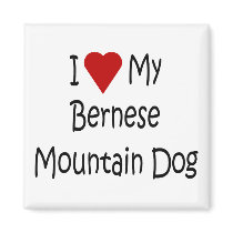 I Love My Bernese Mountain Dog Lover Gifts Magnet