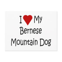 I Love My Bernese Mountain Dog Lover Gifts Post Card