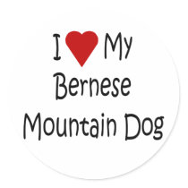 I Love My Bernese Mountain Dog Lover Gifts Sticker
