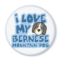 I Love My Bernese Mountain Dog Magnet