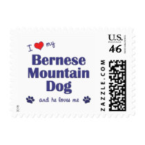 I Love My Bernese Mountain Dog (Male Dog) Postage