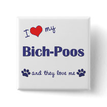 I Love My Bich-Poos (Multiple Dogs) buttons