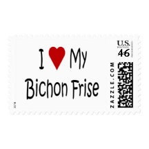bichon frise shrek