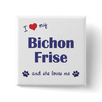 I Love My Bichon Frise (Female Dog) Pinback Buttons