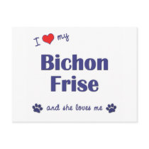 I Love My Bichon Frise (Female Dog) postcards